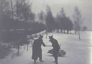 Bois sur la luge
